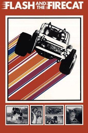 Flash and the Firecat film afişi