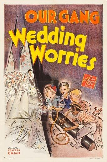 Wedding Worries film afişi