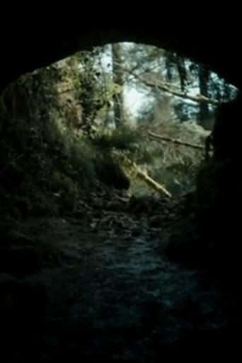 The Beast film afişi