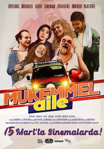 Mükemmel Aile film afişi