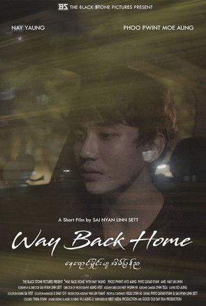 Way Back Home film afişi