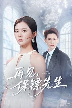 再见，保镖先生 dizi afişi