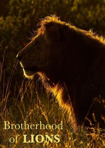 Brotherhood of Lions dizi afişi