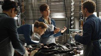 The Bond in the Boot