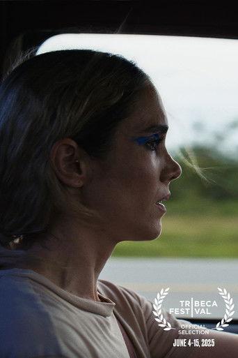 Charliebird film afişi