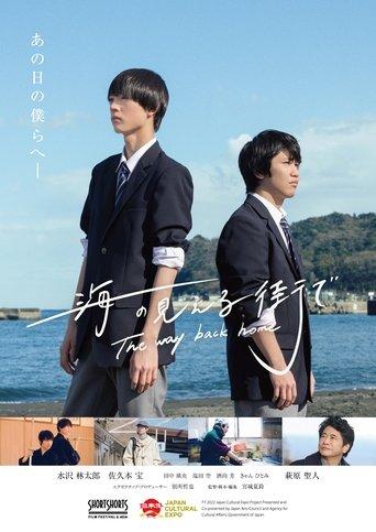 The way back home film afişi