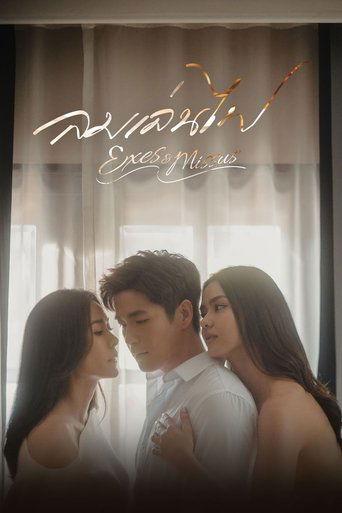 Exes & Missus dizi afişi