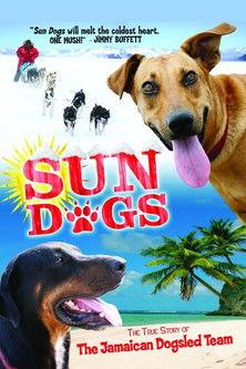 Sun Dogs film afişi