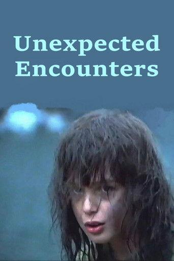 Unexpected Encounters film afişi
