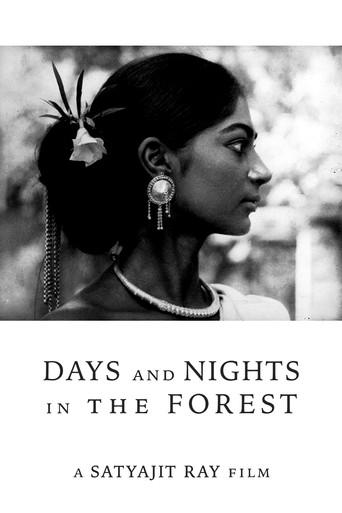 Days and Nights in the Forest film afişi