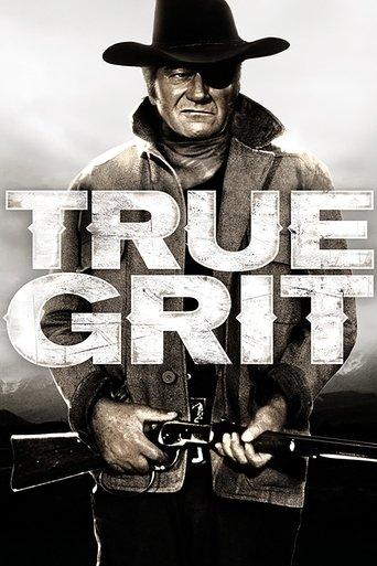 True Grit film afişi