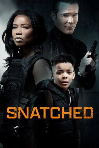 Snatched film afişi