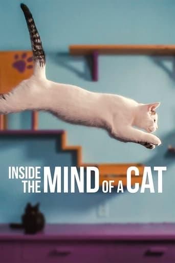 Inside the Mind of a Cat film afişi