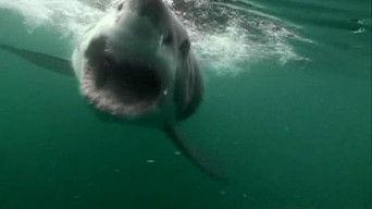 Special Supersized Myths