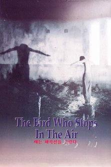 The Bird Who Stops in the Air film afişi