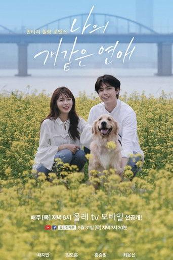 나의개같은연애 dizi afişi
