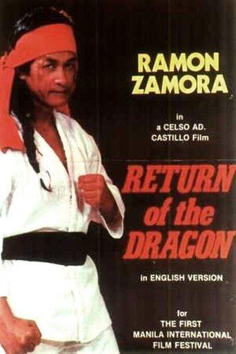 Return of the Dragon film afişi