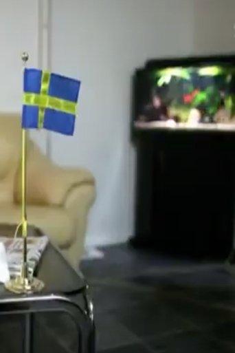 Sverigedemokraterna - vägen till riksdagen film afişi