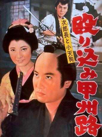 A Revengeful Raid film afişi