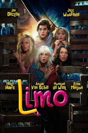 Limo film afişi