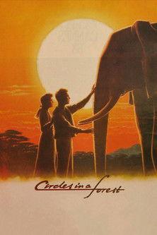 Circles in a Forest film afişi