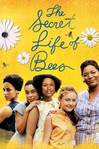 The Secret Life of Bees film afişi