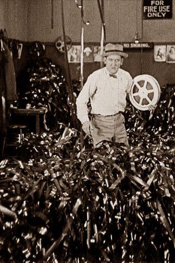 The House of Flickers film afişi