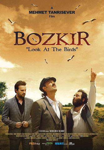 Bozkir "Look at the Birds" film afişi