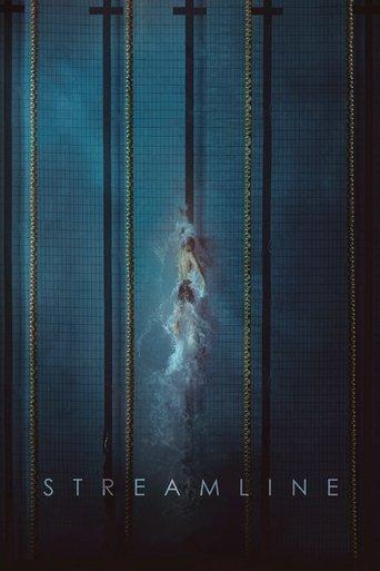 Streamline film afişi