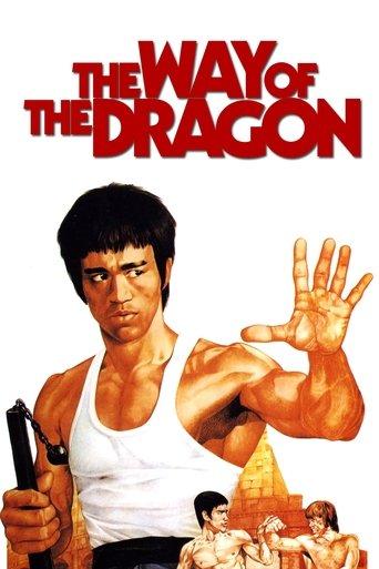 The Way of the Dragon film afişi
