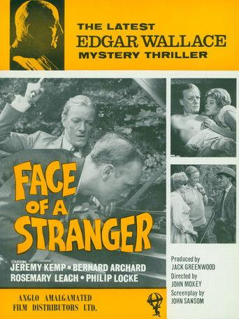 Face of a Stranger film afişi