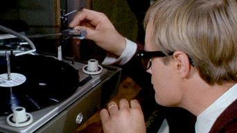 The Birds and the Bees Affair