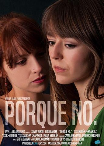Porque no. film afişi