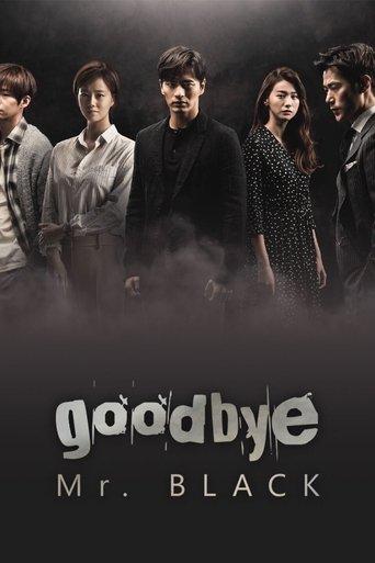 Goodbye Mr. Black dizi afişi