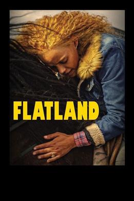 Flatland film afişi