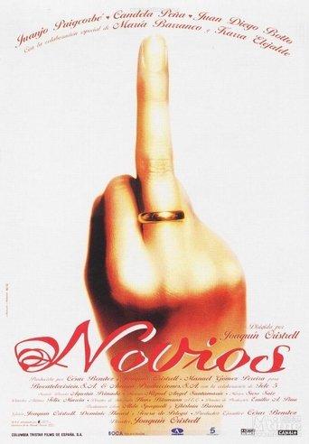 Novios film afişi