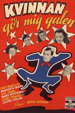 The Woman Drives Me Crazy film afişi