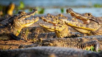 Timing Is Everything