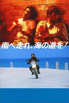 South to the Horizon film afişi