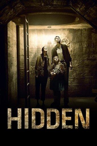 Hidden film afişi