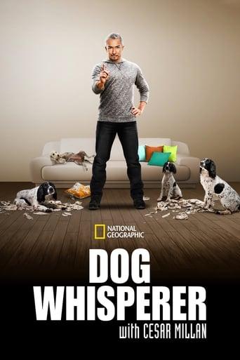 Dog Whisperer dizi afişi