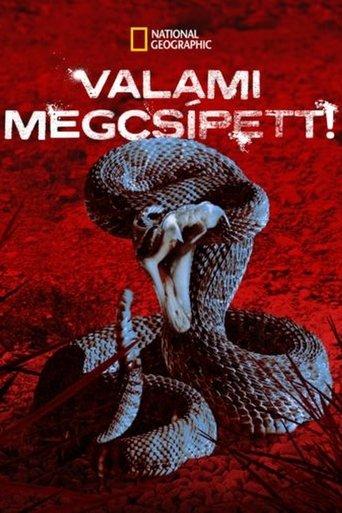 I Was Bitten dizi afişi