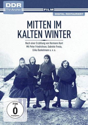 Mitten im kalten Winter film afişi