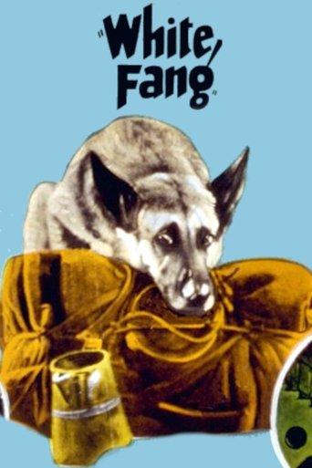 White Fang film afişi