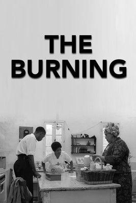 The Burning film afişi