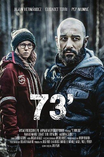 73' film afişi