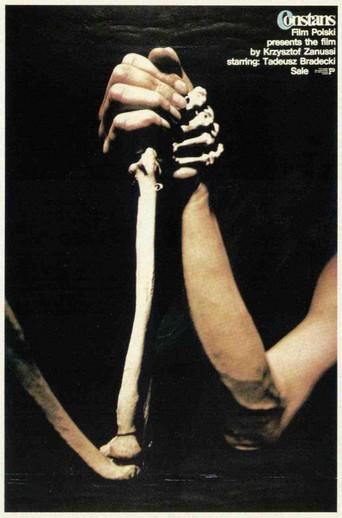 The Constant Factor film afişi