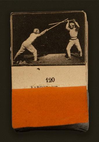 The Stick film afişi