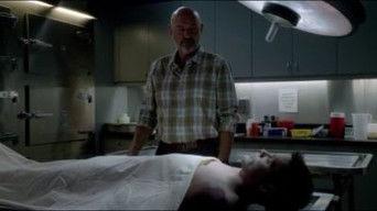 Kupu‘eu (Fallen Hero)