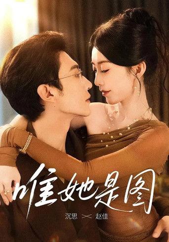 唯她是图 dizi afişi